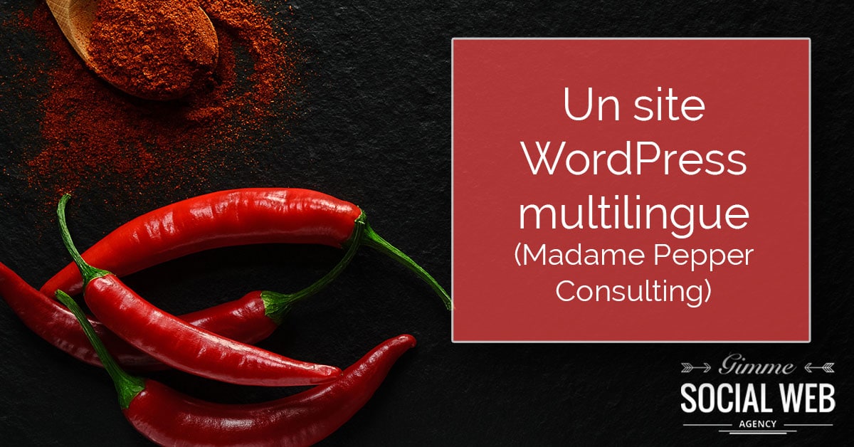 site WordPress multilingue - social media
