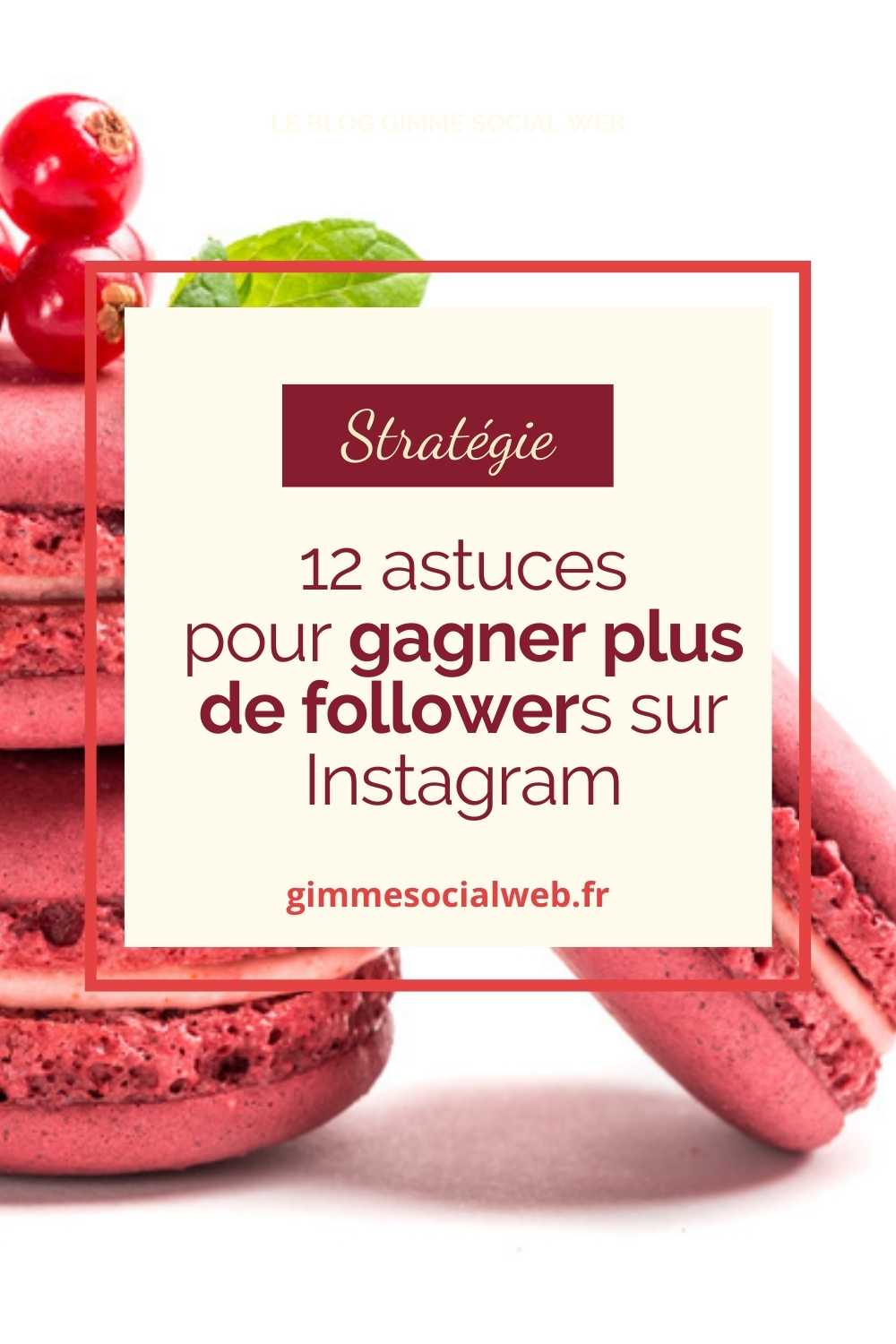 Pile de macarons roses et groseilles + cover Epingle Pinterest - gagner plus de followers sur Instagram
